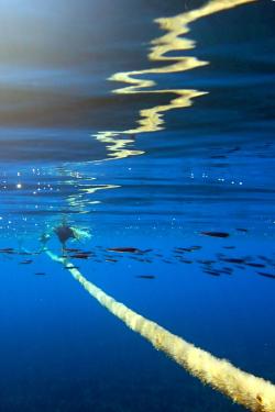 Under the different seas of Eolie islands, Sicily OLYMPUS DIGITAL CAMERA