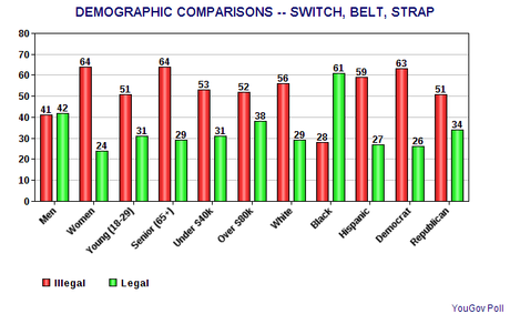 The American Public's View On Corporal Punishment The American Public's View On Corporal Punishment