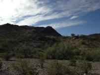 IMG_3885 Accepting Limitations, Pressing On