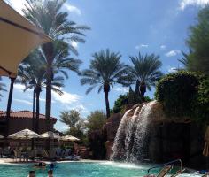 IMG_3953 Accepting Limitations, Pressing On