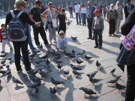 VISITANDO VENEZIA! Image