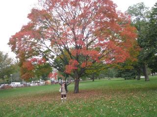 ROAD TRIP – WASHINGTON D.C. ROAD TRIP – WASHINGTON D.C.