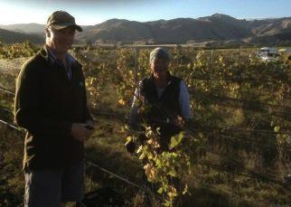 Sam-Maisie-Clod-14-322x229 Kiwis & Cowhorns: A Talk about Terroir with NZ Wine Maker Sam Weaver – Churton Wines