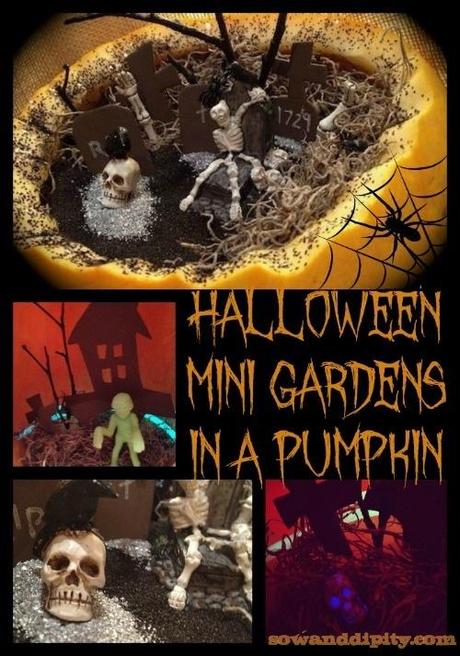 Halloween mini gardens