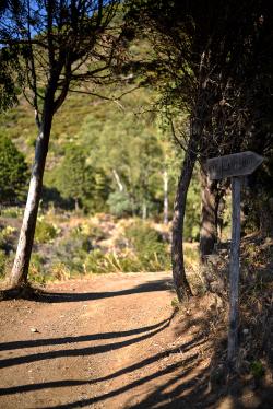 “1000 meters up, 1000 meters down” – PART I DSC_7134