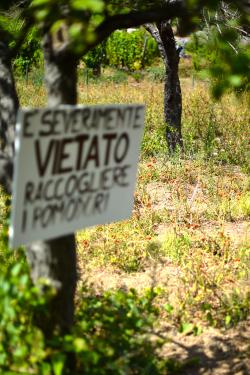 “1000 meters up, 1000 meters down” – PART I DSC_6953
