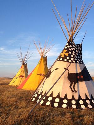 Historic Treaty: Bring Buffalo Home, Heal the Prairie Bison treaty Teepee Lodges