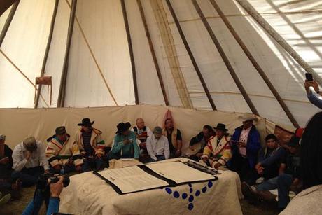 Historic Treaty: Bring Buffalo Home, Heal the Prairie Tribal leaders sign buffalo treaty