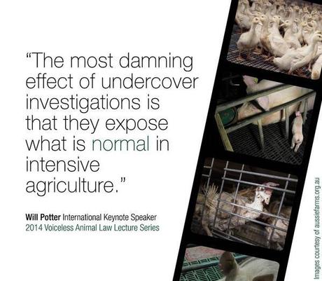 #AgGag Victory in Australia! ag-gag-australia