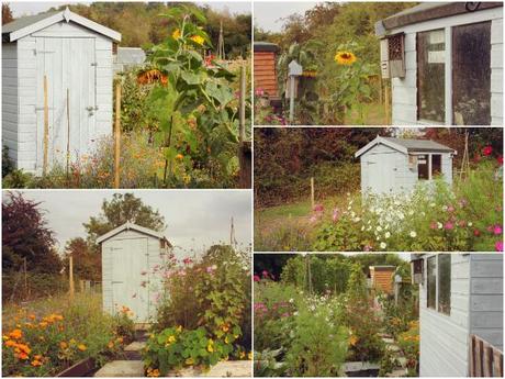 allotment collage