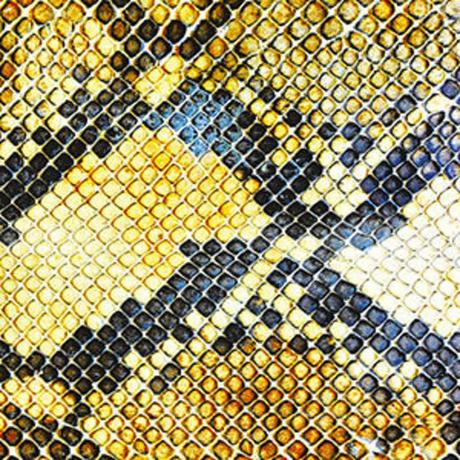 Album Review - The Amazing Snakeheads - Amphetamine Ballads
