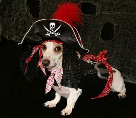 Best Halloween costume ideas for dogs Best Halloween costume ideas for dogs
