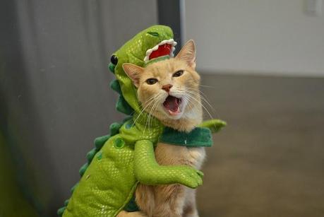 Best Halloween costume ideas for dogs Best Halloween costume ideas for dogs
