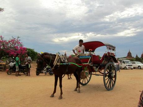 horse cart in Bagan