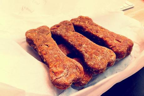 Healthy digestive diet: 7 homemade dog biscuit recipes using pumpkin Healthy digestive diet: 7 homemade dog biscuit recipes using pumpkin
