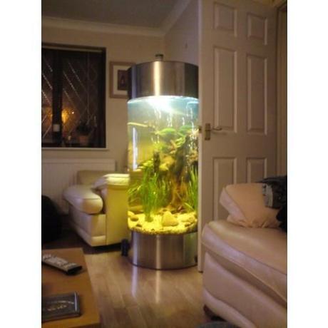 HomeSpirations Fish Tank