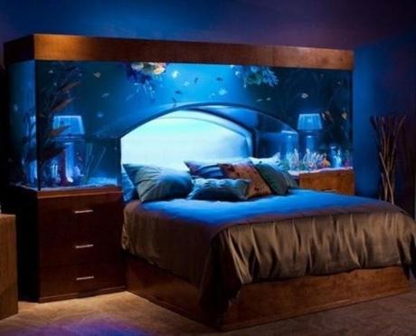 Three Rooms in Your Home That Are Crying out for a Fish Tank