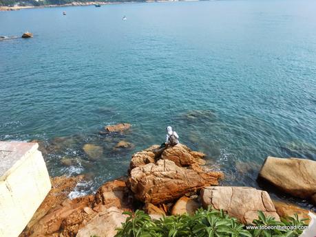 Weekender In Search Of Fish ,Stanley Water Front,Hongkong