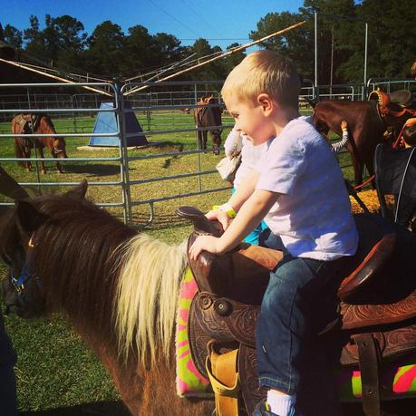 My pumpkins at the pumpkin patch. My pumpkins at the pumpkin patch.