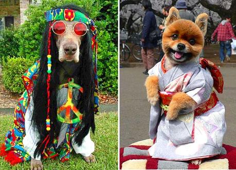 Dog in Peace costume & Geisha Costume