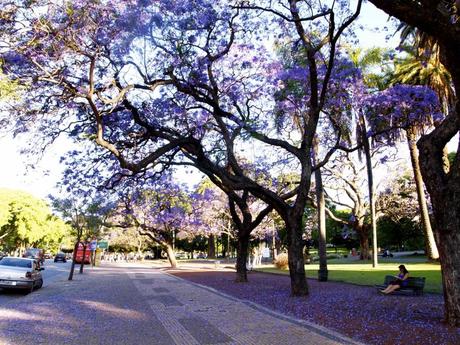 50 1024x768 Spring in Buenos Aires: Best time to visit the city!