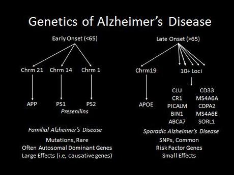 Genetics of Alzheimer's Disease - Familial Early Onset and Sporadic Late Onset