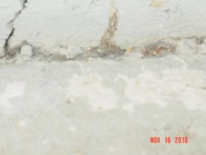 It’s termite season in Arizona. probestpestmanagementDSC03312