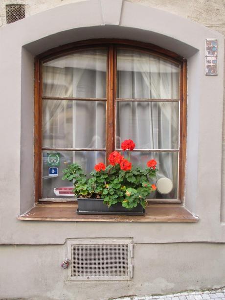 Prague Windows