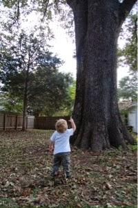 19 Months of Mayhem 19 Months of Mayhem