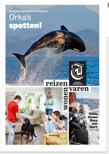 De Telegraaf goes tabloid: second day pages