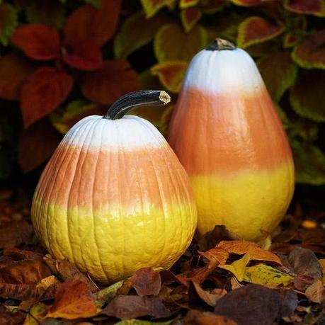 10 No-Carve Pumpkins for a Festive Halloween 10 No-Carve Pumpkins for a Festive Halloween