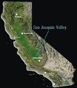 Evil clowns plague California valley after dark San Joaquin Valley1