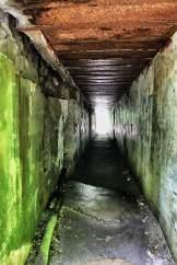 Wolf's Lair Wolf's Lair
