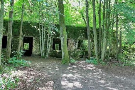 Wolf's Lair Wolf's Lair