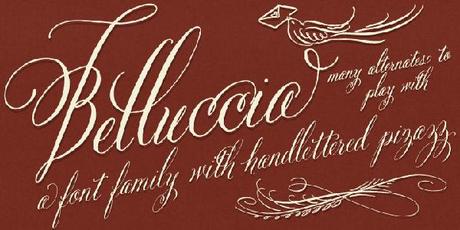 Belluccia Calligraphy Font by Debi Sementelli of Lettering Art Studio Belluccia font, calligraphy font, wedding font, script font, fancy font, cursive font,DIY wedding, fonts for weddings, fonts for invitations, most popular fonts, best sellling fonts, fancy fonts, fancy letters