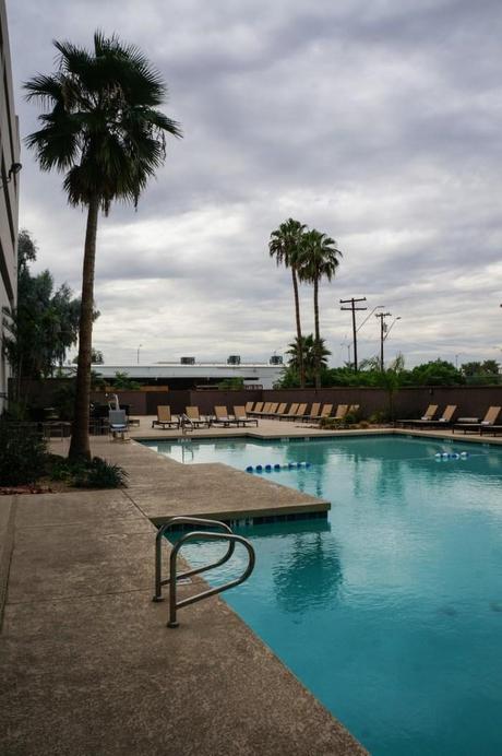 Swimming in the Desert crowne_plaza_phoenix_airport_hotel_swimming_pool_palm_trees