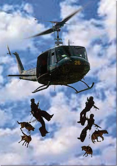 Navy SEALs Rappelling with Canines