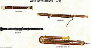 Wind instruments 300x159 5 Components Of Your Wind Instrument You Dont Want To Skimp On