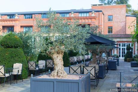MY 5 REASONS TO PRESS UP !!! Fitness On Toast Faya Blog Girl Sport Press Up Push Workout Chest Ab Core Bodyweight Routine Why To The Grove Watford Hotel London-5