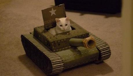 Top 10 Images of Cats in Toy Vehicles Top 10 Images of Cats in Toy Vehicles