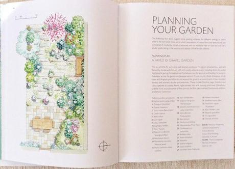 RHS Companion to Scented Plants : Book Review & Give Away image1 (1)