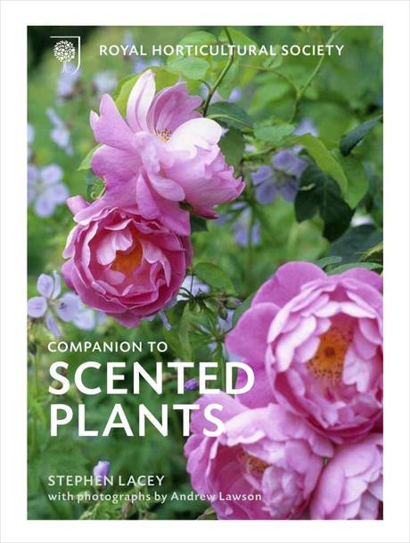 RHS Companion to Scented Plants : Book Review & Give Away RHS Companion to Scented Plants lr