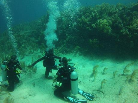 Two Years as a Scuba Diving Instructor in Paradise Two Years as a Scuba Diving Instructor in Paradise