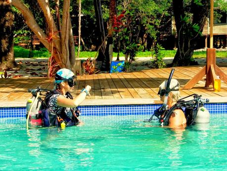 Two Years as a Scuba Diving Instructor in Paradise Two Years as a Scuba Diving Instructor in Paradise