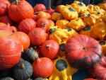 Favourite Five Pumpkin & Squash Recipes Favourite Five Pumpkin & Squash Recipes