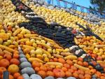 Favourite Five Pumpkin & Squash Recipes Favourite Five Pumpkin & Squash Recipes