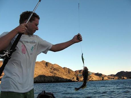 What’s your favorite cruising destination? fish fishing