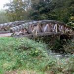 Visit to the Swiss National Arboretum Crossing the Aubonne river