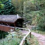 Visit to the Swiss National Arboretum A covered bridge