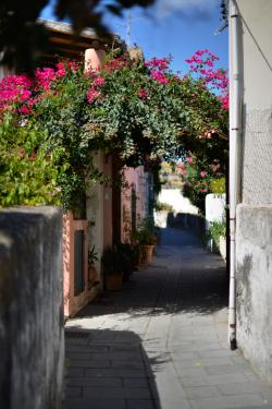 In the streets of Salina, Aeolian islands DSC_6901